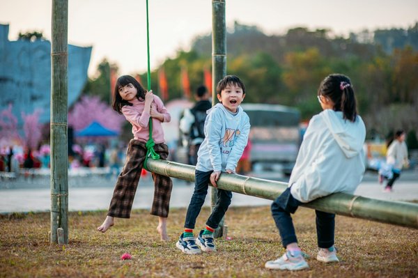 Guide d'obtention du certificat Économie d'Énergie pour votre maison